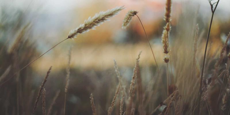 Kung Fu79：超越银幕的武术哲学，通往身心强健与自卫防身的古老智慧