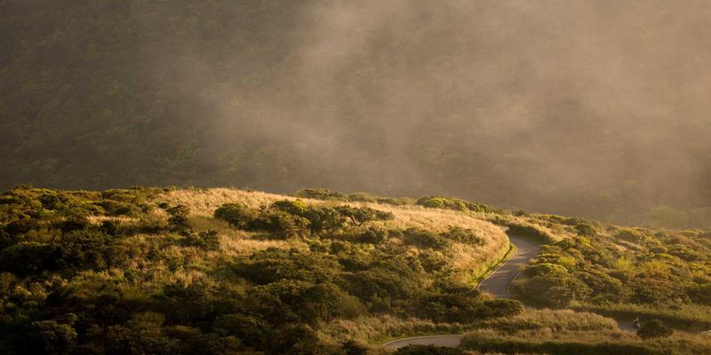 Kung Fu与书法艺术：解码武术招式与笔墨线条中的力与美