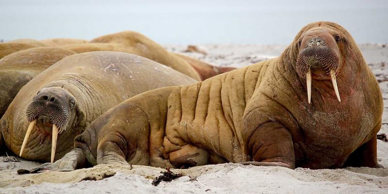 Kung Fu实战智慧：咏春拳黐手训练如何锻造街头近身防卫的快速反应