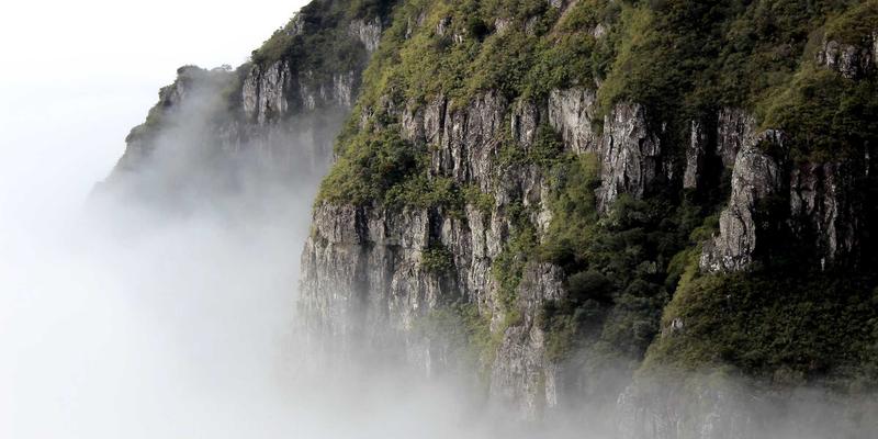 Kung Fu教程：从招式到冥想，探索功夫文化的深层智慧