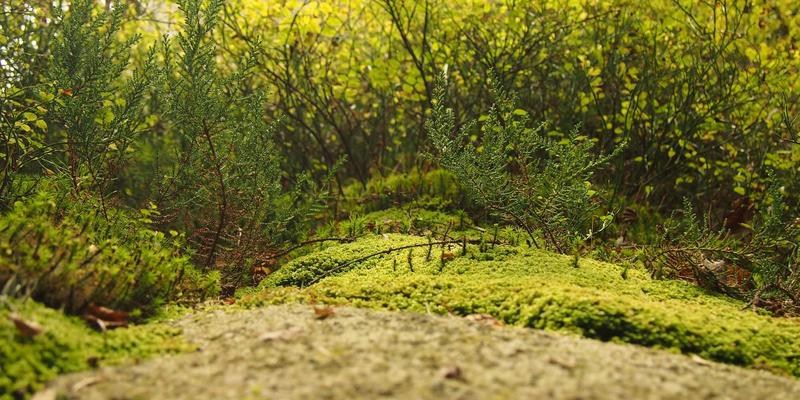 Kung Fu服饰演变史：从练功服到时尚符号的文化身份表达