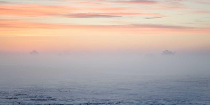 Self-Defense Wisdom: Exploring the Deep Differences Between Internal and External Kung Fu Through Tai Chi and Shaolin