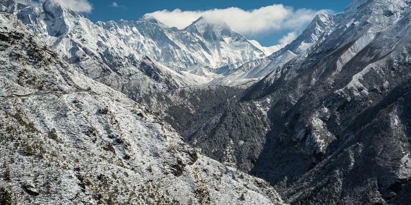 从Discipline到Tai Chi：海外功夫道馆如何重塑传统中国武术的跨文化生存