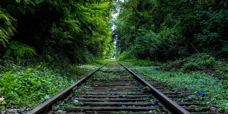 从Wushu到全球现象：李小龙如何通过Discipline与Meditation将功夫推向世界