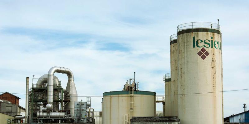 从Wushu到八角笼：Kung Fu文化如何塑造现代格斗术的实战基因