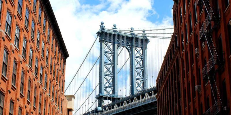 从拳脚到心法:Kung Fu进阶之路与文化深解