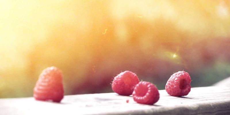 从道场到董事会：Kung Fu文化中的纪律与太极智慧如何重塑现代商业领导力