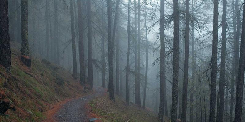 传统武术与中医经络学：揭秘穴位打击与气血调理的古老科学