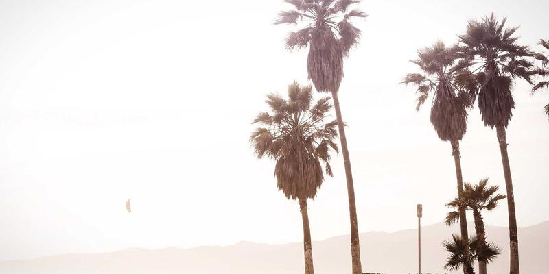 功夫之道：从自律到自卫的深层攻略