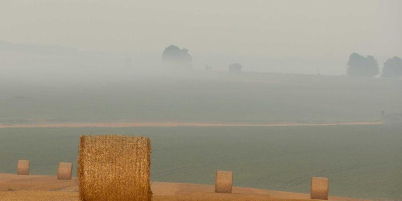 功夫之道：如何将中国传统武术训练融入高强度工作节奏，实现身心平衡与压力管理