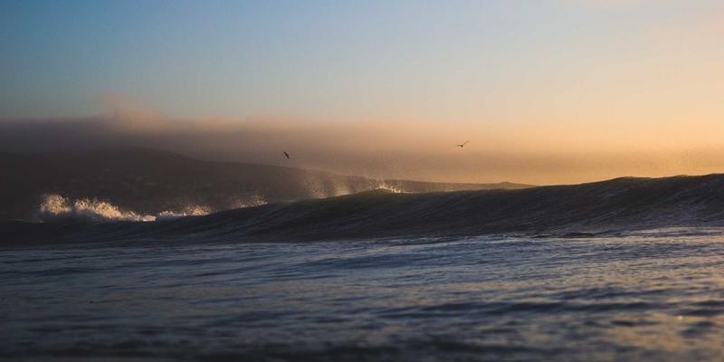 太极拳与功夫推手训练：改善帕金森患者平衡能力的科学路径