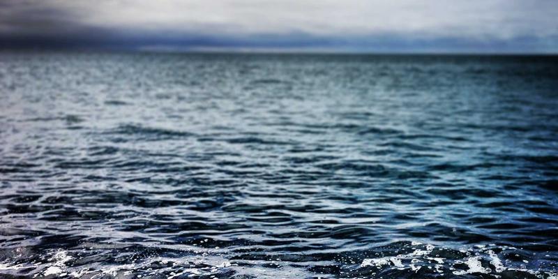 太极拳：超越Self-Defense的古老Discipline，一门身心合一的养生Kung Fu