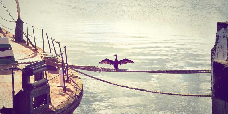 少林寺禅武合一：揭秘武术训练与冥想如何塑造身心平衡的古老智慧