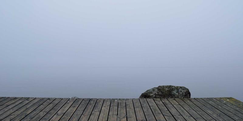 螳螂拳勾搂采挂：传统武术与康复医学中的手功能恢复之道